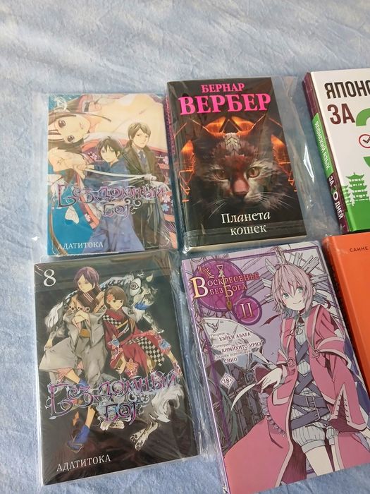 Книги , манга , бездомный бог , словарь