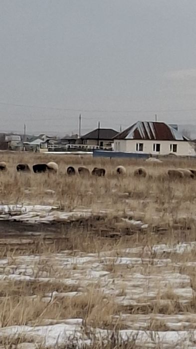 Земельный участок