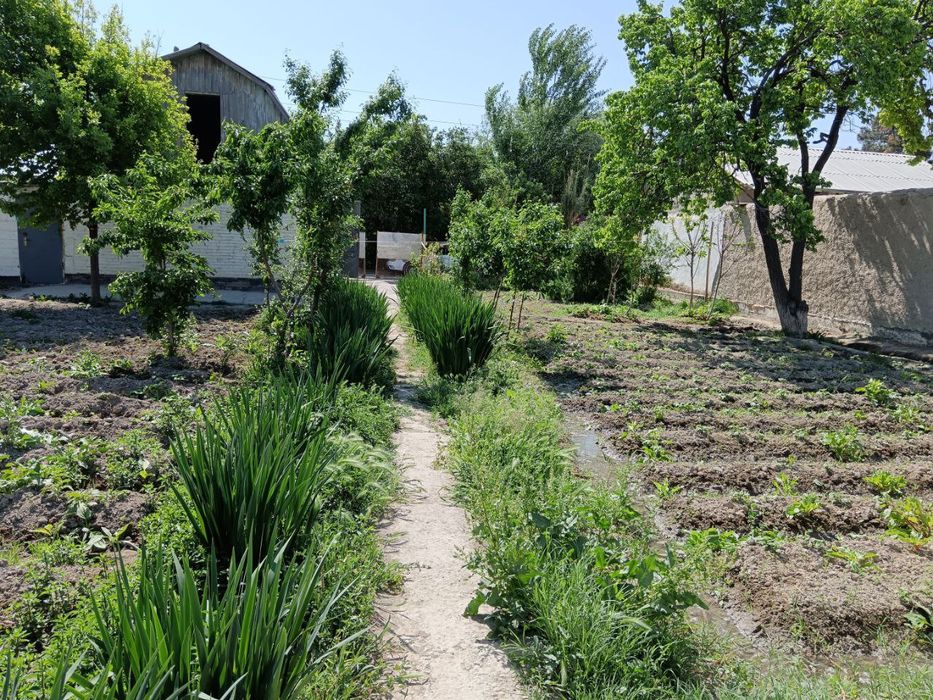 Навбахор дача тезда сотилади биринчи куча оладигон одамга келиштирамиз