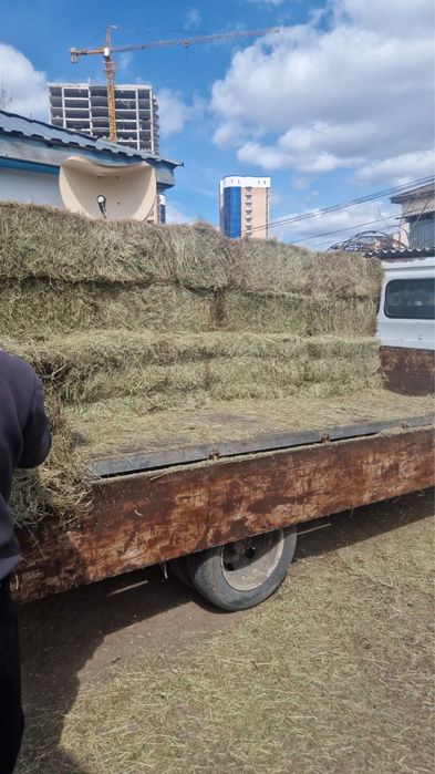 Продам спрессованные тюки сена