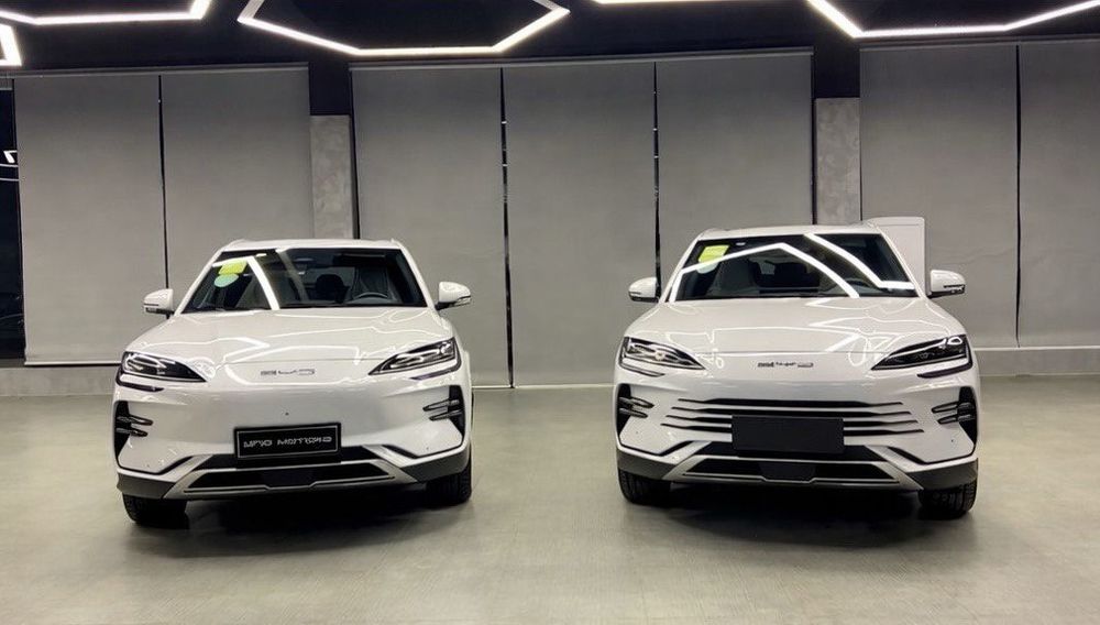 byd song plus Champion