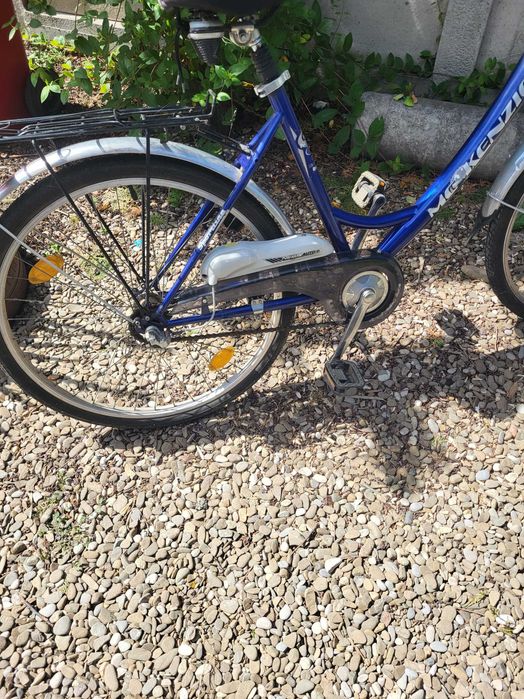 Vand bicicleta mckenzie