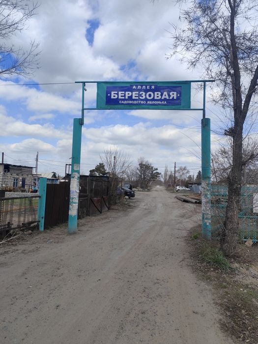 Дача 6 соток. Березовая аллея