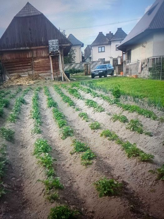 Vind casa di teren in comuna voitinel  str boieru