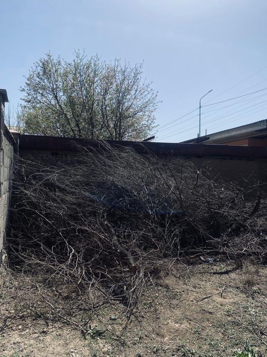 Тегін отын алып кетем деген адамға