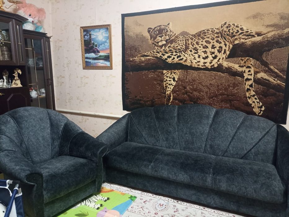 Ародаетмя диван и кресла