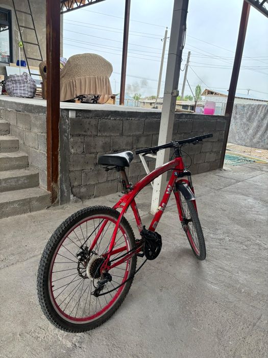 Велик беха спортивный