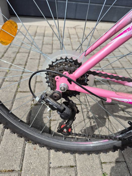 Sprint Vanessa Pink