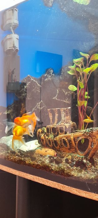 Продам аквариум комплект