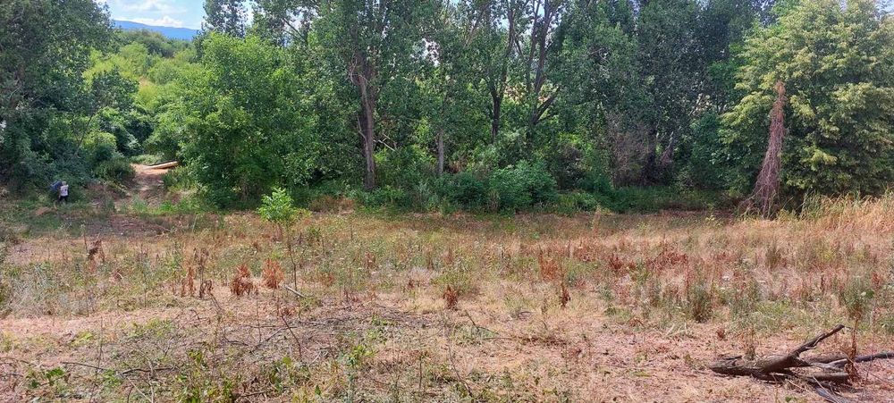 Почистване на запустели парцели и имоти