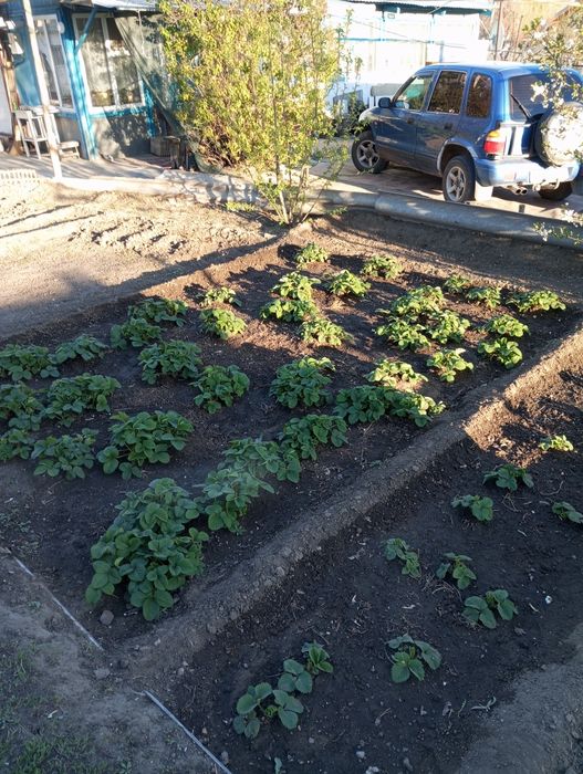 Срочно продам пол дома в центре города!