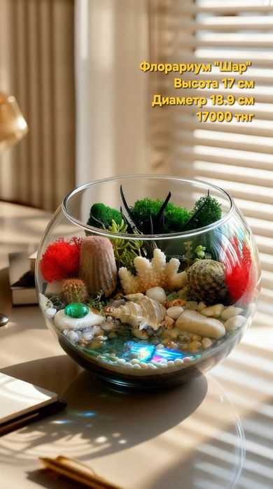 Флорариум, суккуленты