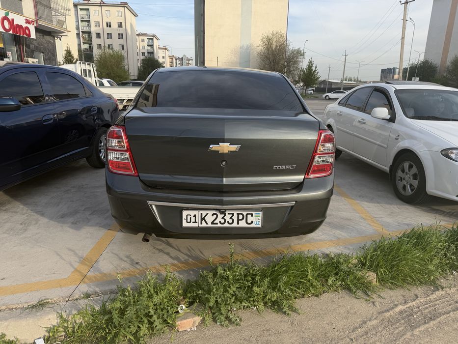 Kobilt sotiladi srochni