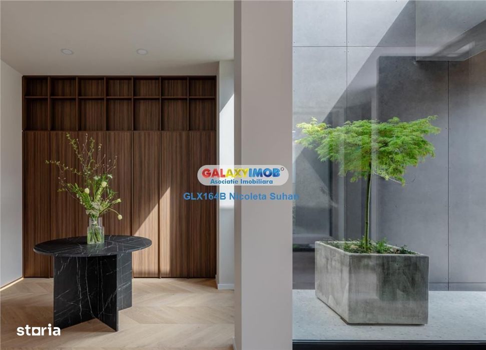 Vanzare Casa Spectaculoasa Cu Piscina Iancu Nicolae