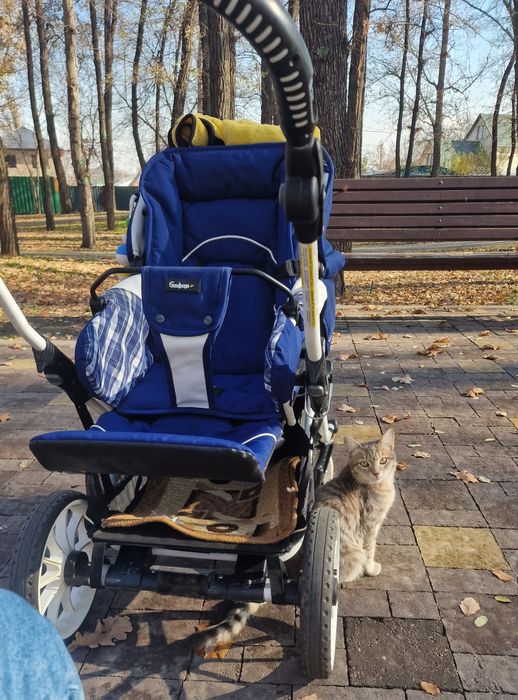 Универсальная коляска Emmaljunga