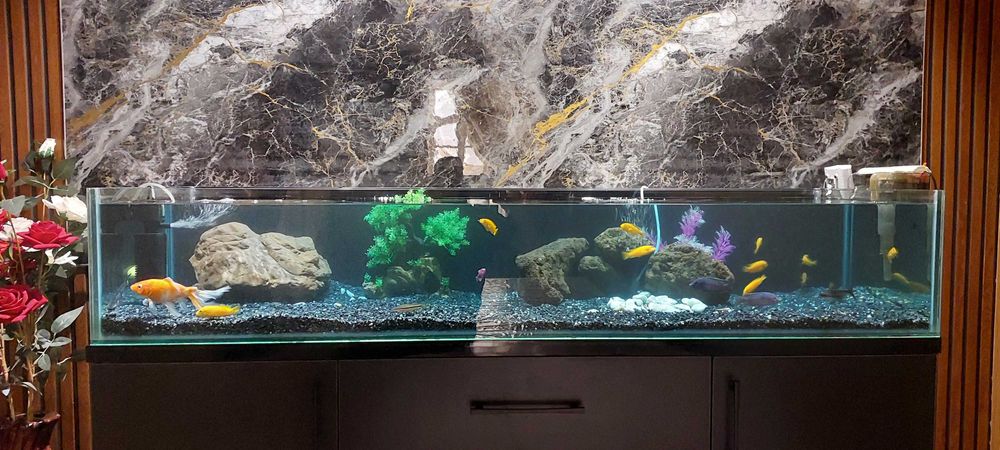 Аквариум ва Баликлар. 350 л.Уй ва Офис учун хашаматли аквариум