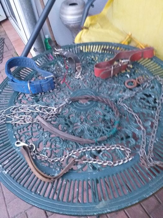 Materiale întreținere câini rasă mare