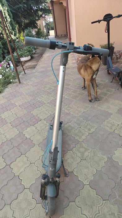 Trotineta Motus Scooty 10