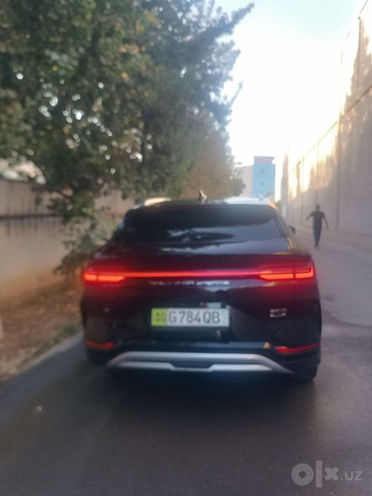 Byd champion ev 550 km