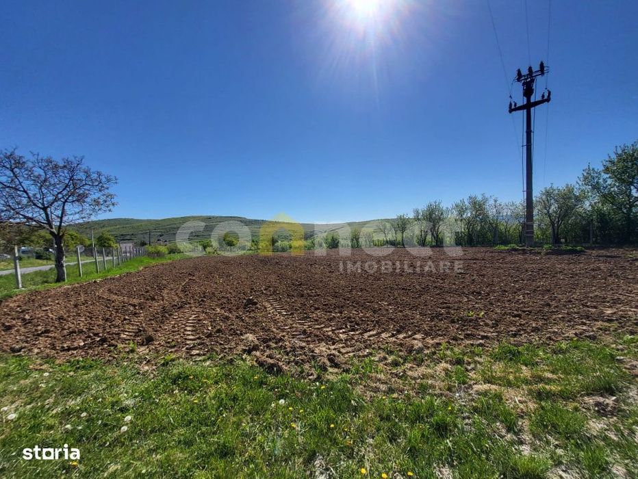 Teren intravilan de vanzare | 2942 mp | Ciurila, Cluj
