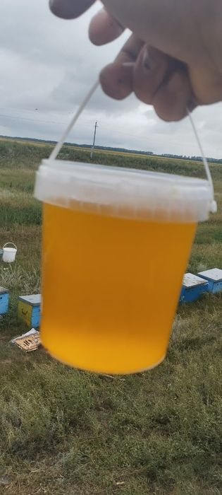 Мед Натуральный продукт