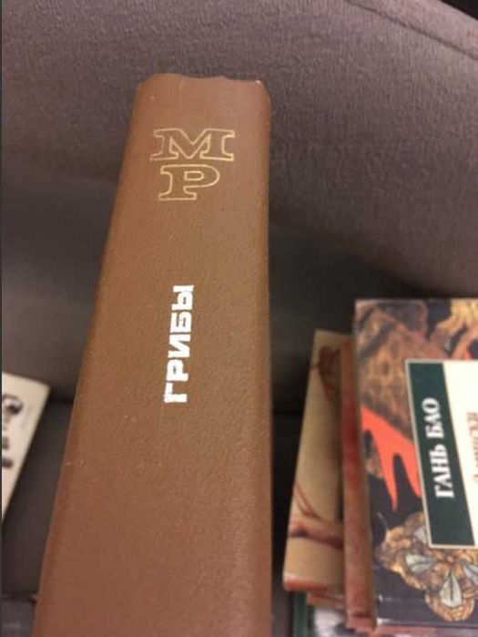 Мир растений : Грибы