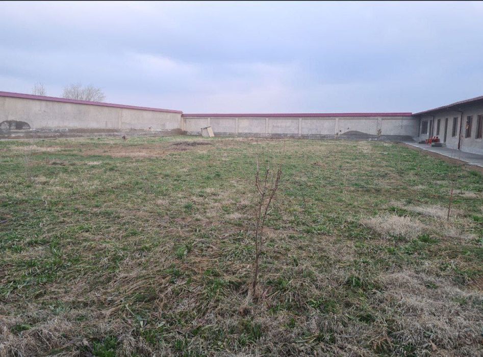 Чингильды, Мирзо Улугбекский район  Новый парк Узбекистан  25-соток