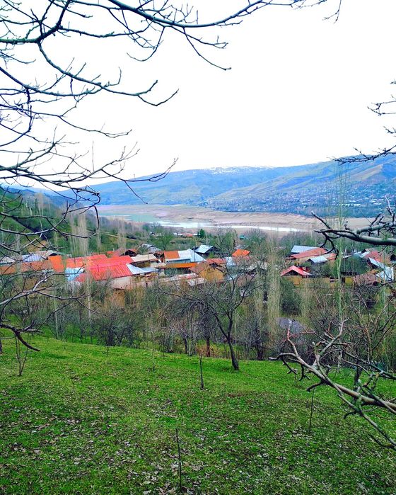 Srochna Yer sotiladi 8 sotix Bo'stonliqda