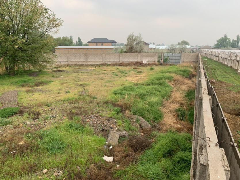 Участок 15 соток