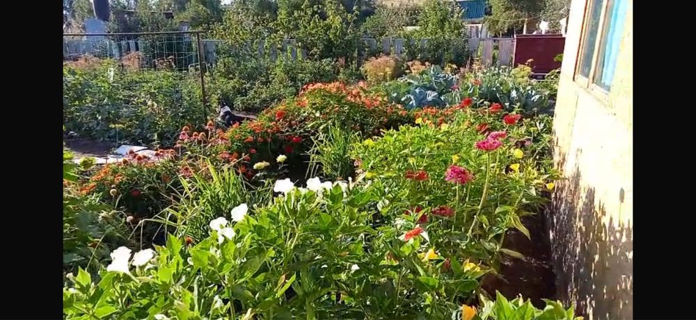 Продам дачу за Васильевкой