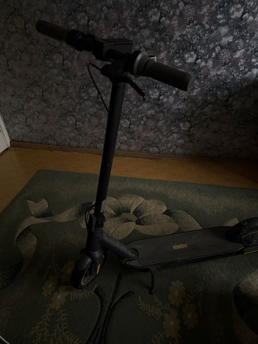 Ninebot KickScooter Max G30P