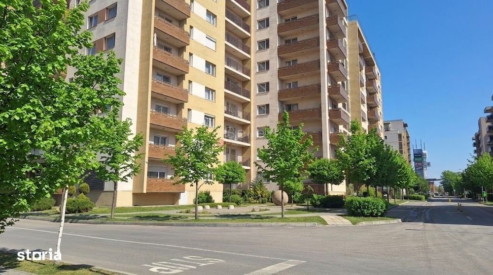 Studio Suprafata Generoasa