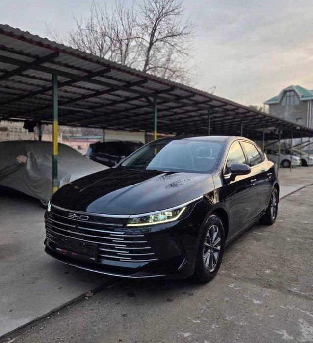 BYD CHAZOR ACTIVE  55km naxt va xalol nasiya