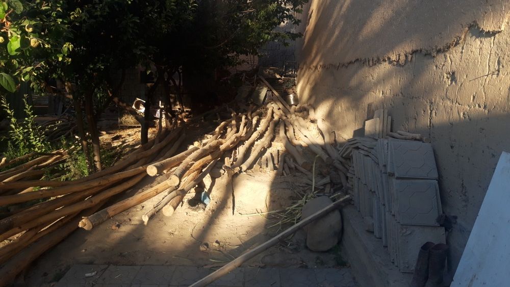 Болор кук терак арзон нархда