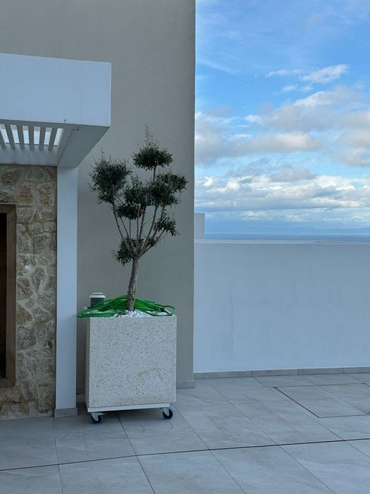 Jardiniere ghivece  mozaic