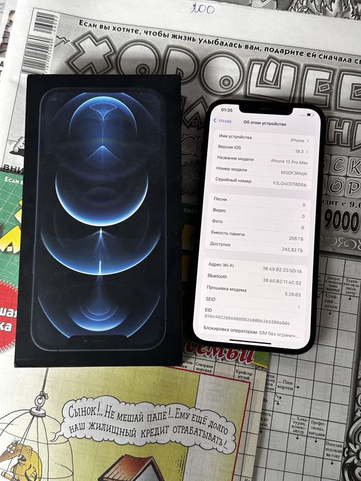 Iphone 12 Pro Max 256