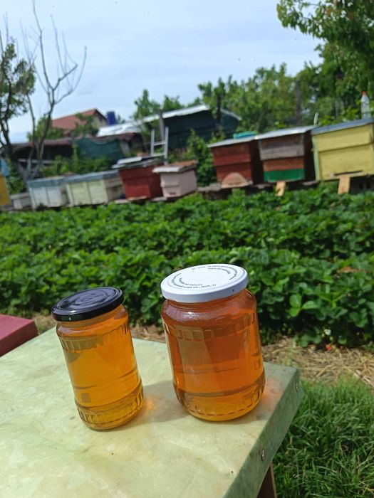 Miere naturala din productie proprie