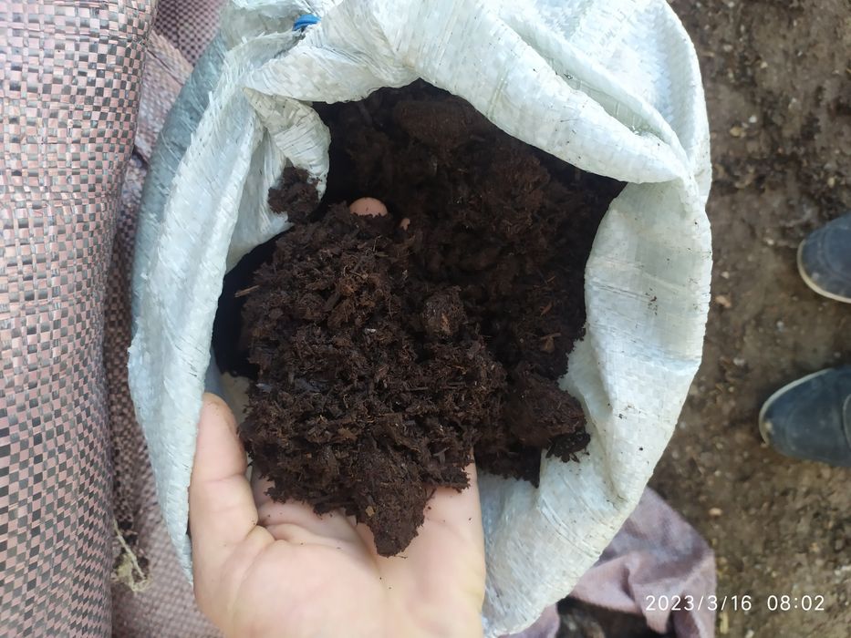 Birsklet bor sotiladi yunsoboya  va shamshotlat va boshqa kochatlar