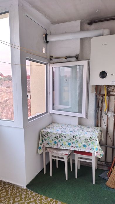 Colegă de apartament
