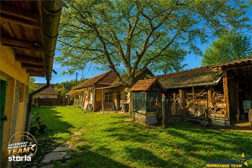 FILM! Domeniu de 6.221mp, livada pomi fructiferi+casa si anexe,Lemnia,