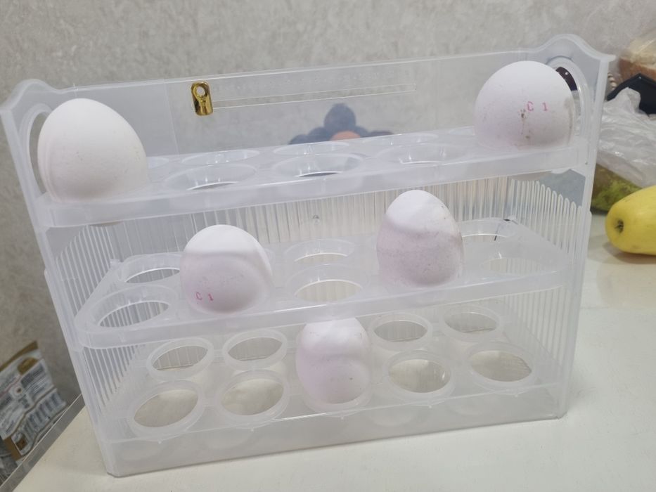 Продам контейнер  для яиц