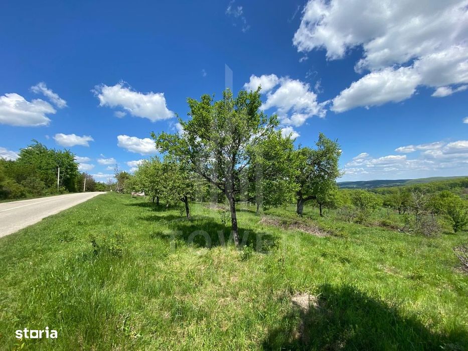 Teren premium 1000 mp-Sibiel