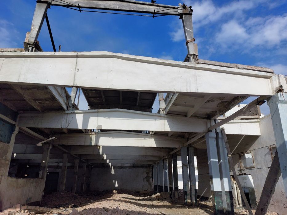 Pilta bor           .