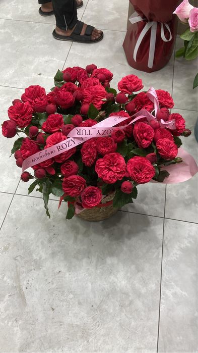 Свежий гүл 10000