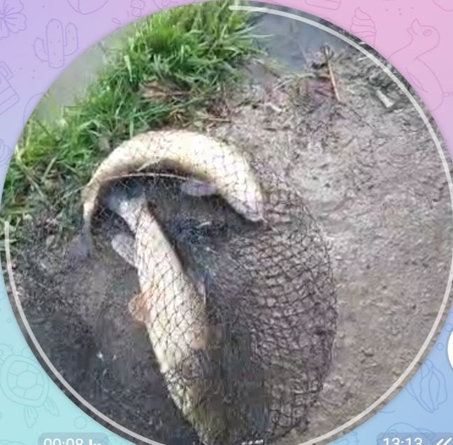 Бизнес учун жой кибрайда Тоза хаво сув буйидан