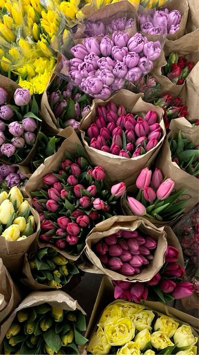 Тюльпаны оптом в розницу