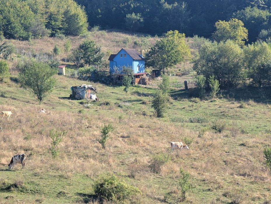 Teren de vânzare Bistrița , str. Dambului