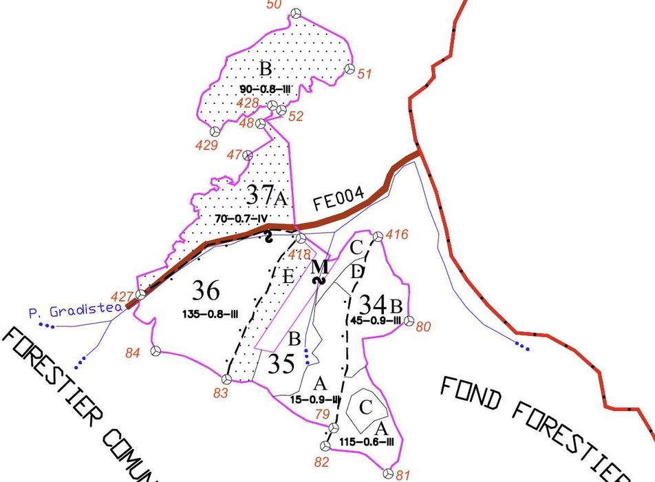 Servicii GIS / Cartografie Silvică – Hărți amenajistice și pachete mobile QField & Avenza