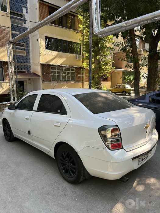 Tozza Cobalt A/T Midnight 2025