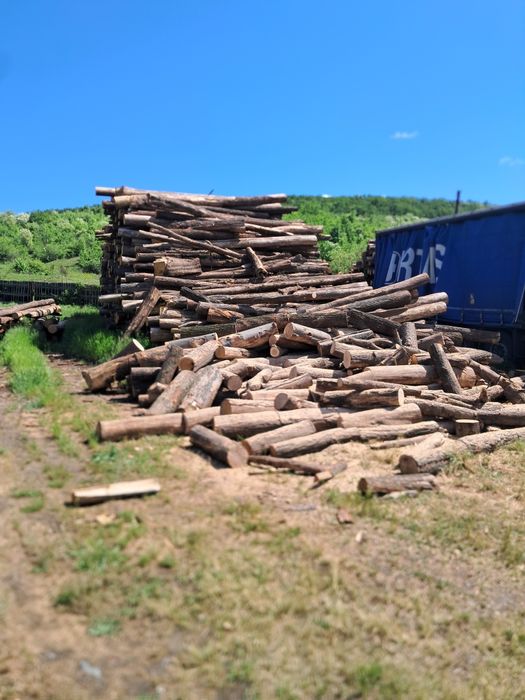 De vânzare lemn de foc stejar uscat!
